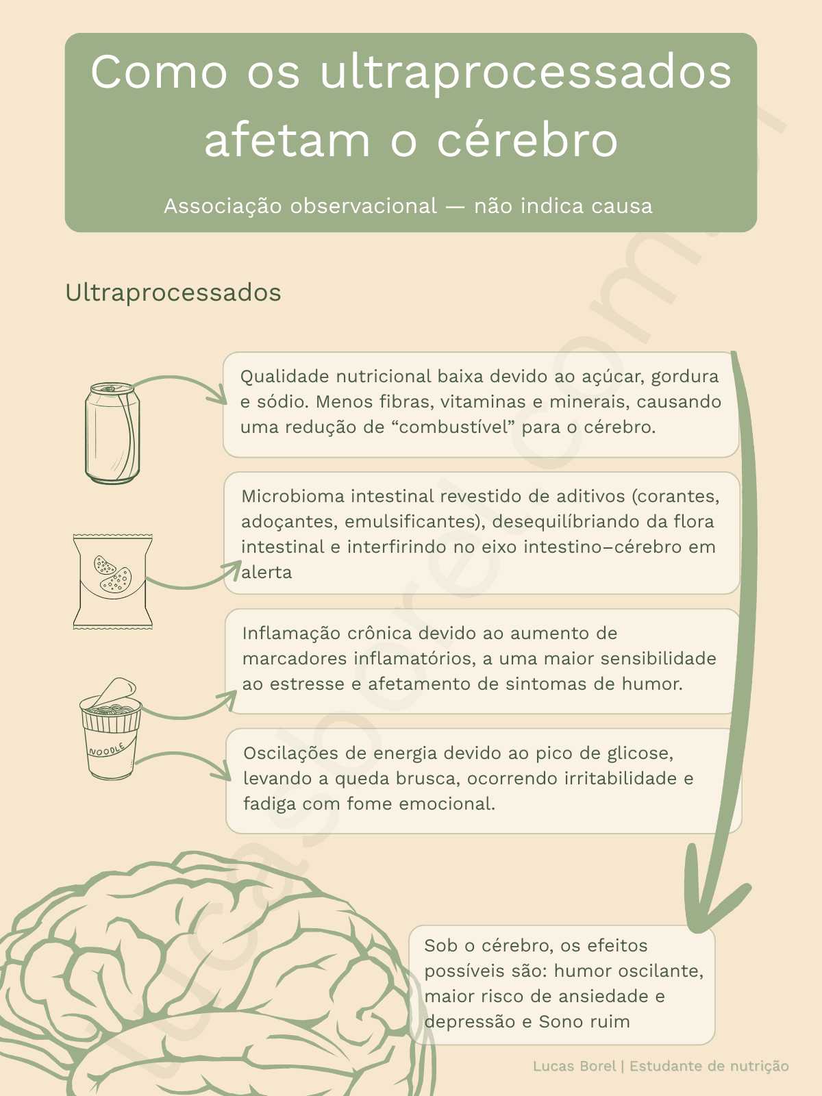 Infográfico mostrando como ultraprocessados afetam o cérebro: nutrientes baixos, desequilíbrio intestinal, inflamação e energia instável.