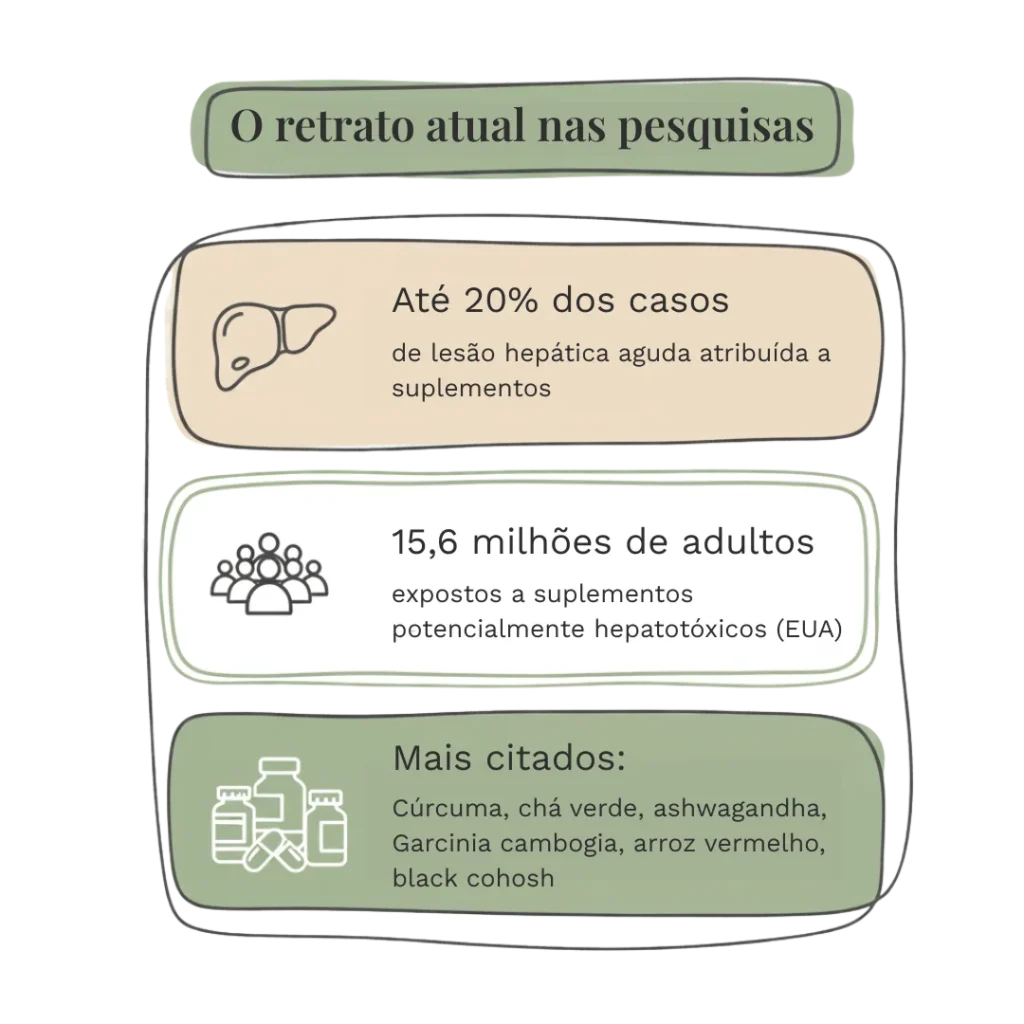 Suplementos naturais podem afetar seu fígado: o que a ciência já sabe Infográfico com dados sobre hepatotoxicidade por suplementos, incluindo prevalência, número de adultos expostos e compostos mais citados.
